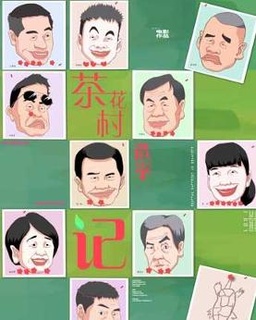 茶花村选举记
